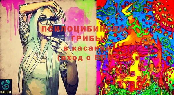 прущие крисы Алексеевка