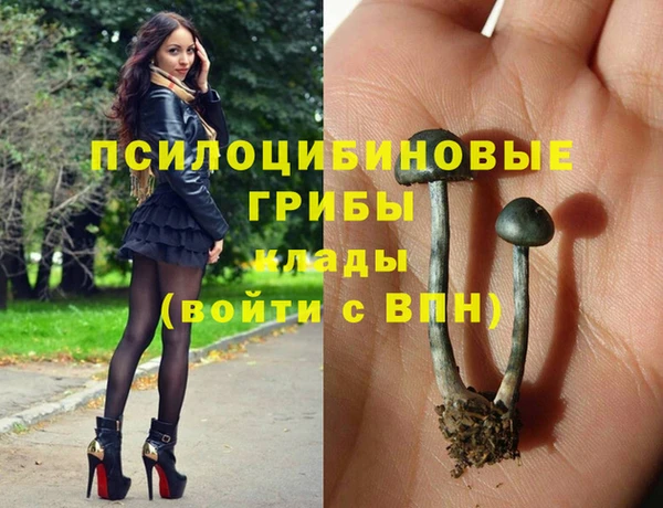 герыч Алексин