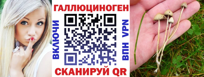 Галлюциногенные грибы MAGIC MUSHROOMS  Южно-Сахалинск 