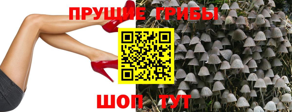 Псилоцибиновые грибы ЛСД  Галлюциногенные грибы GOLDEN TEACHER  Вход с VPN  Южно-Сахалинск 
